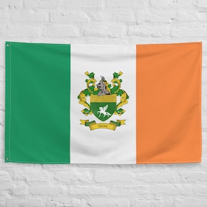 Quinn Irish Coat of Arms Family Crest Ireland Flag | Irish gifts for the home