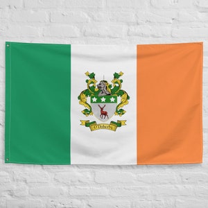 O&#39;Doherty Stemma irlandese Stemma della famiglia Bandiera dell&#39;Irlanda / Regali irlandesi per la casa