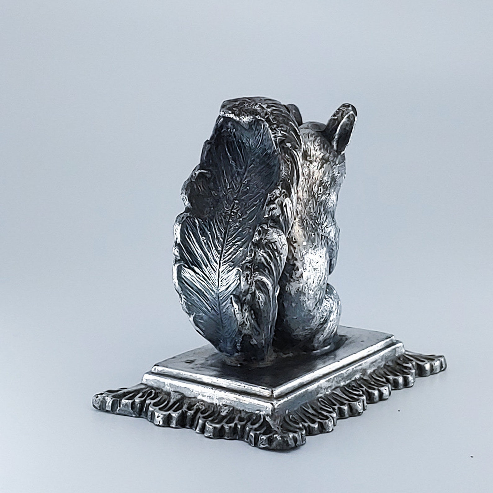 Squirrel animal picture