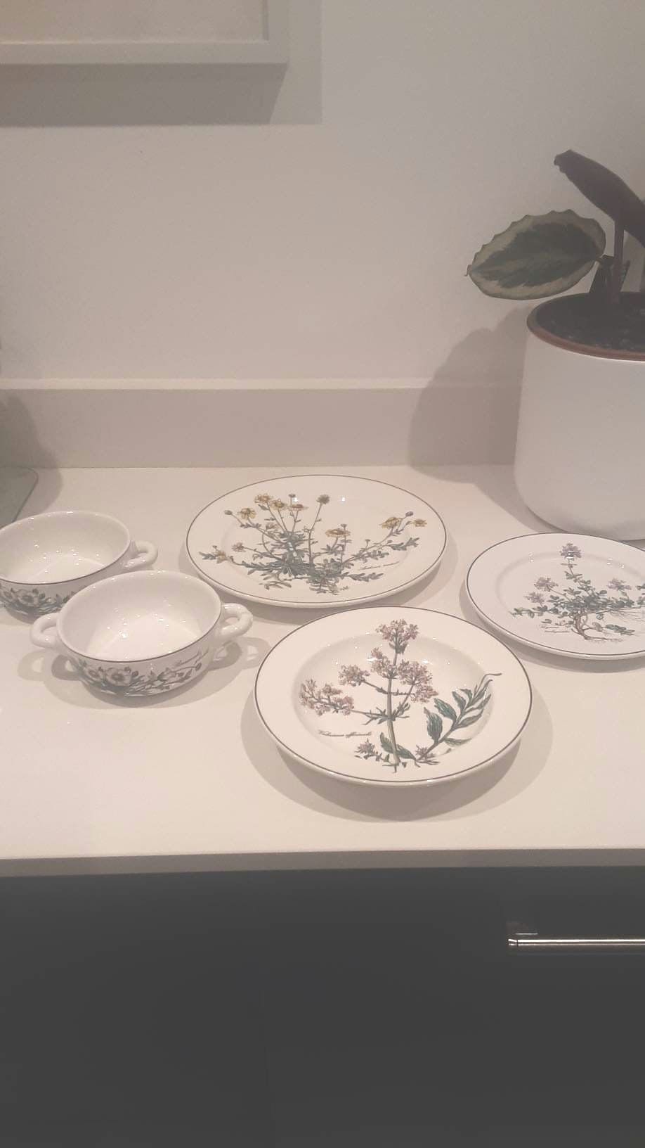 Villeroy boch botanica - Etsy 日本