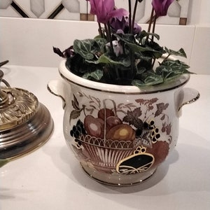 May include: A white ceramic planter with a floral design and gold accents. The planter has two handles and is filled with a purple flowering plant.