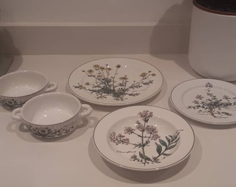 Villeroy et Boch, Botanica divers jolis motifs floraux vintage. Vitro porcelaine Luxembourg