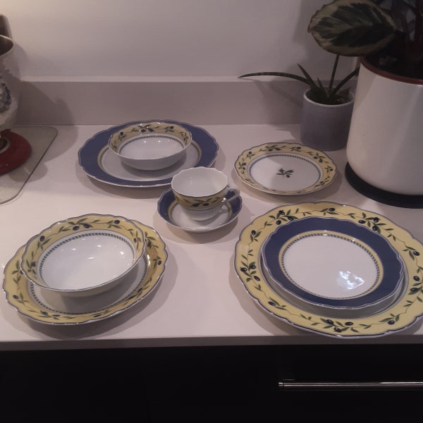 Hutschenreuther medley porcelain open stock replacement