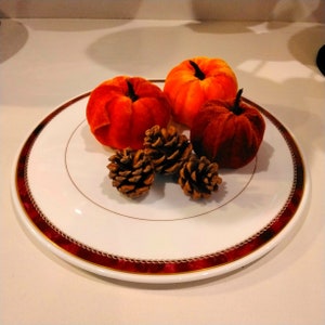 Pode incluir: Um prato branco com uma borda vermelha e dourada, decorado com três abóboras de veludo laranja e vermelho e três pinhas.