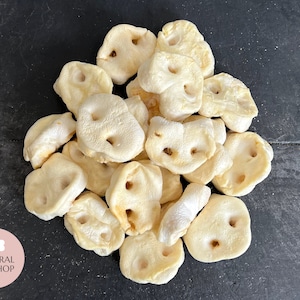 Puffed Pig Snout Chews | Tasty Natural Dog Treats (like puffed chicken feet)