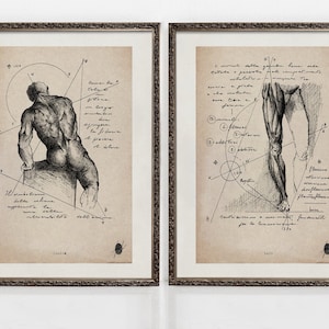 Anatomy Prints Set | Muscular System Art | Human Anatomy Art Prints | Anatomy Wall Art | Original Art | ART PRINTS | Anatomy II