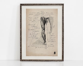 Crus | Les muscles de la jambe | Art du système musculaire | Impressions d'art sur l'anatomie humaine | Art mural Anatomie | Oeuvres d'art originales | IMPRESSIONS D'ART