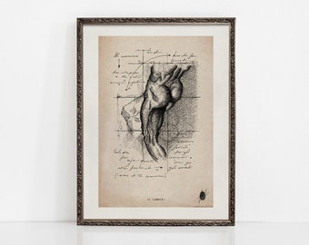 The Way | Muscular System Art | Anatomy Print | Vintage Anatomy | Human Anatomy Art Prints | Ink Sketch | Anatomy Wall Art | ART PRINTS