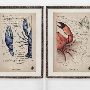 Crustaceans I | Marine Animal Set of 2 Prints | Coastal Home Decor | Oceanographie | Antique Aesthetic | Original Art | ART PRINTS