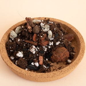Chunky Aroid-mix voor tropische kamerplanten, tropische mix, groeimedium kamerplant, dikke bodemmix