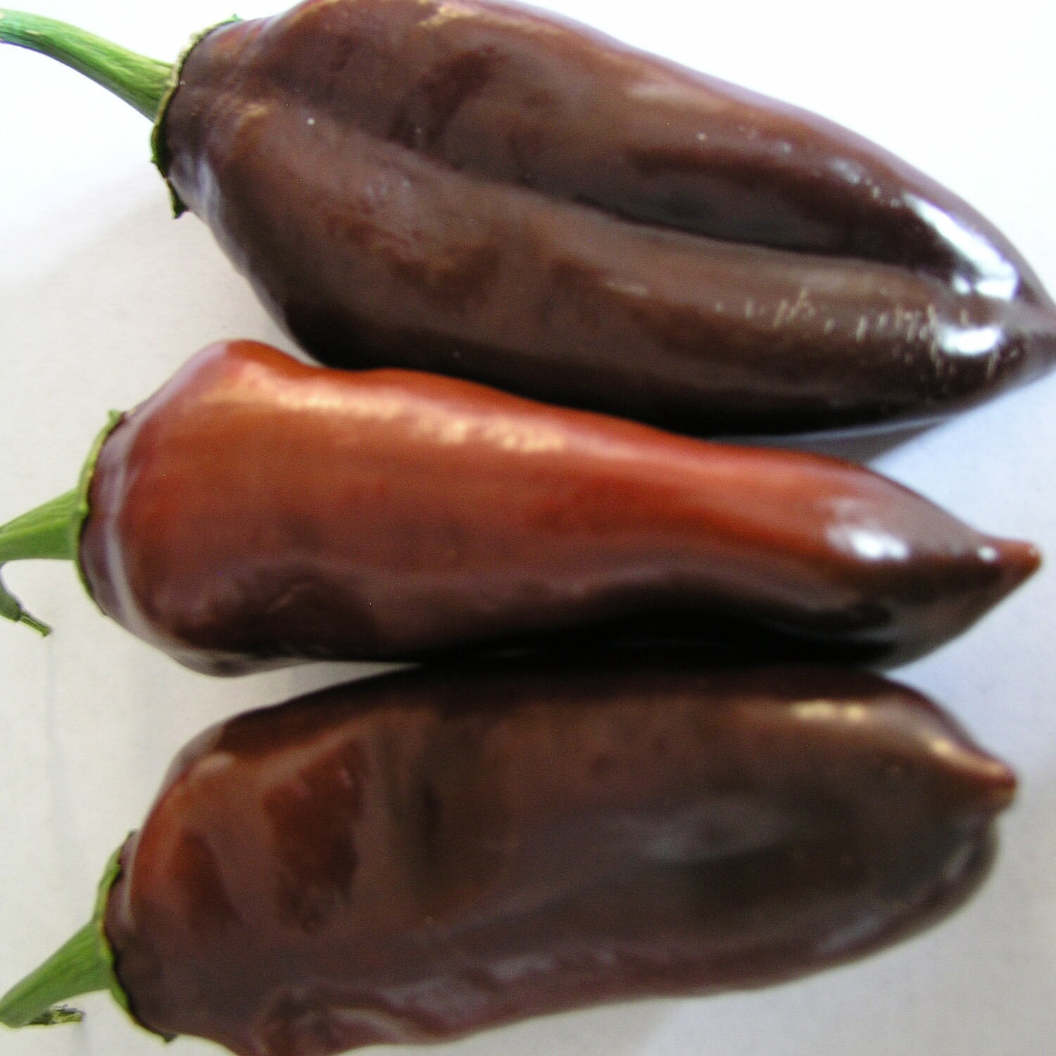 Sweet Chocolate Pepper Seeds Etsy