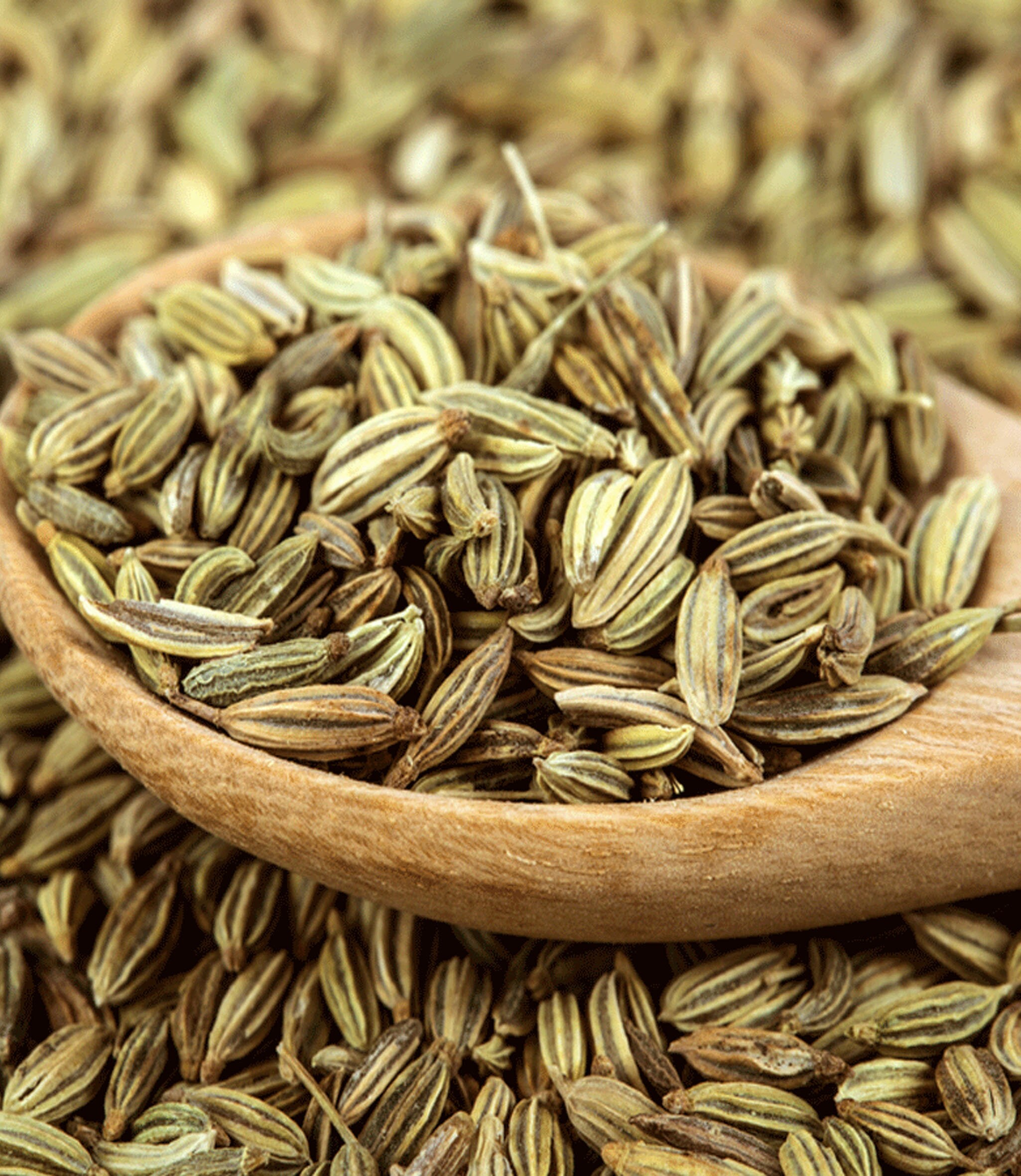 Tisane Fenouil en Graines 200G Infusion Vrac