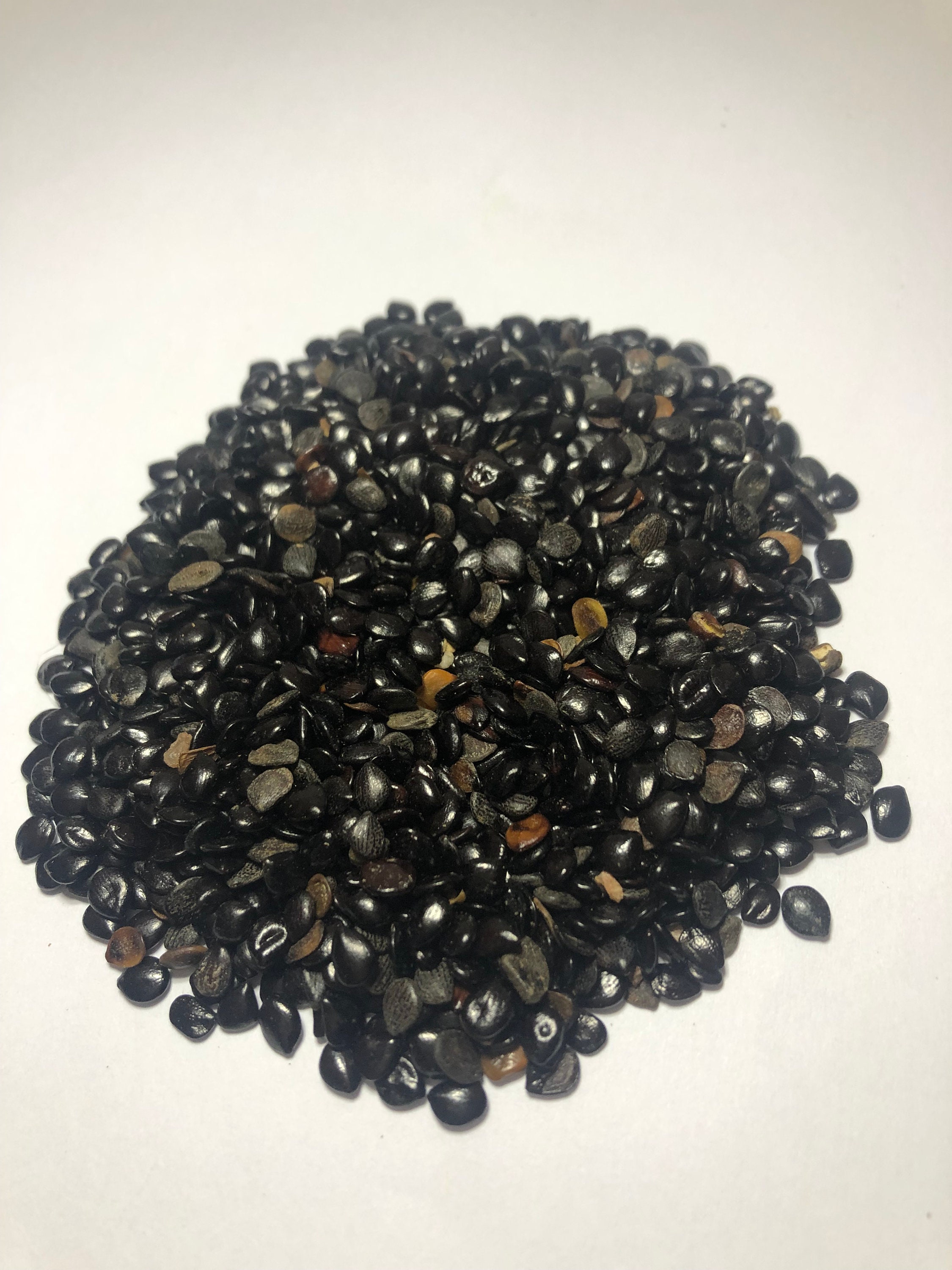 Graines de Nigelle d'arabie Graines Noires 90G