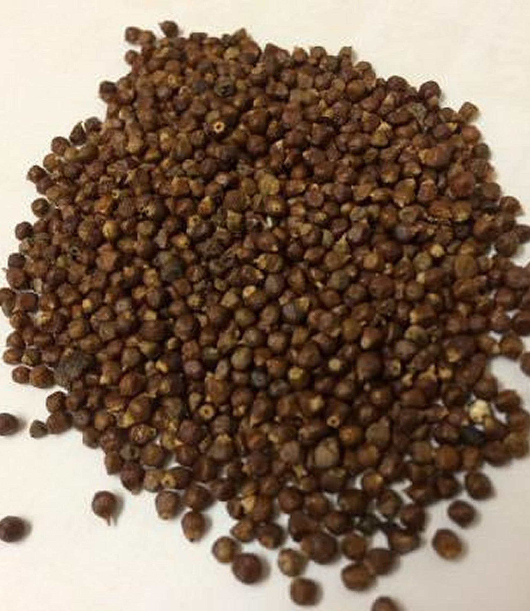 Maniguette 90G Graines de Paradis