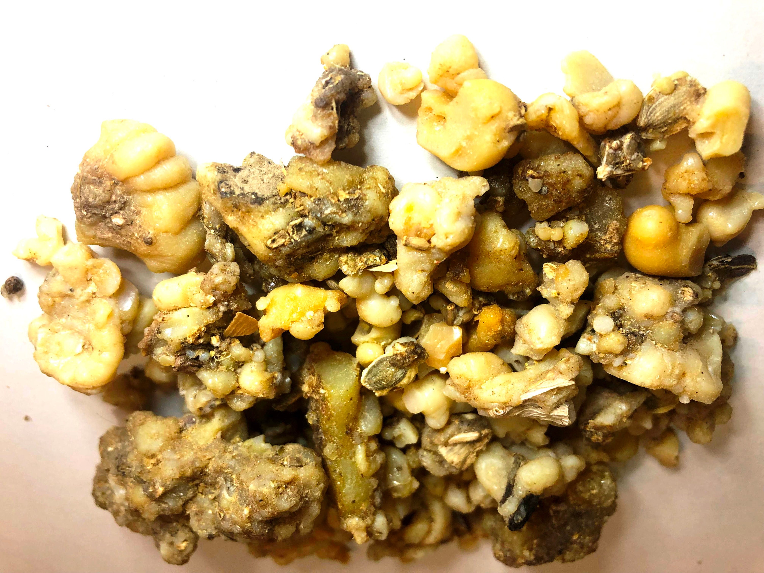 Encens Gomme d'ammoniaque Dorema Ammoniacum 90G