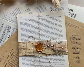 20 pagina's de vieux papiers vintage, Marron et blanc. Pagina's van de livres. Vintage papier. Scrapbooken. Ephemera Kit-junkdagboek. Vintage papier