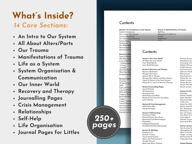 DID & OSDD Workbook | Trauma-Informed System Journal and Recovery Tools (digital pdf) image 3