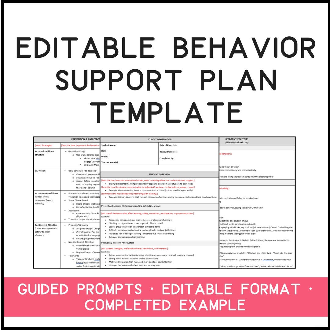 Behavior Intervention Plan (BIP) Template | Editable Word Doc W ...