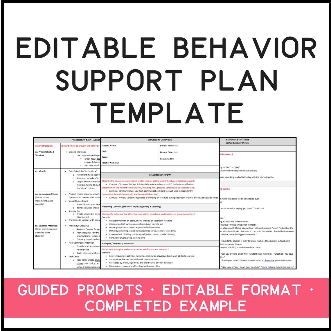 Behavior Intervention Plan (BIP) Template | Editable Word Doc W ...