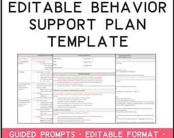 Behavior Intervention Plan (BIP) Template | Editable Word Doc w/ Prompts + Completed Example