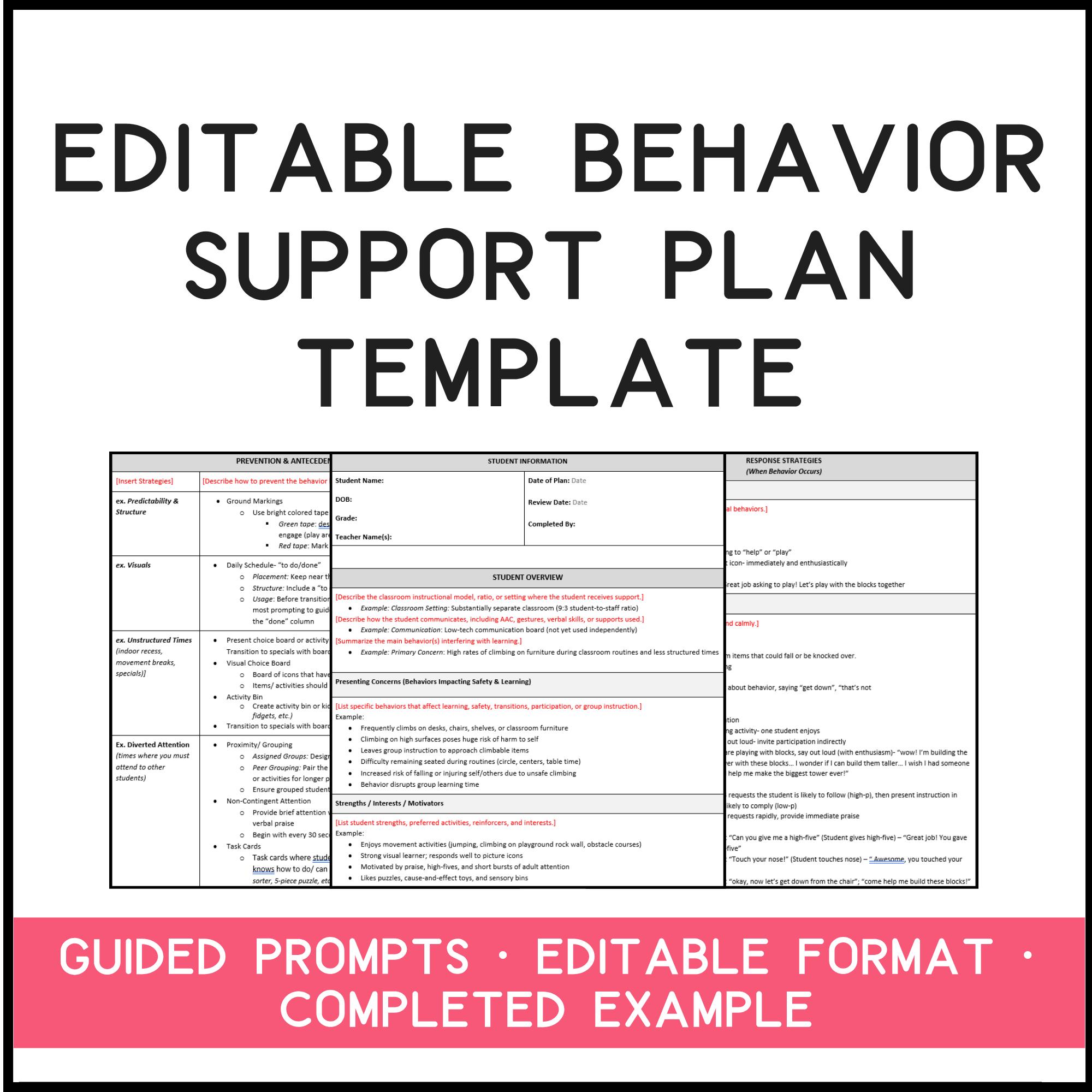 Behavior Intervention Plan (BIP) Template | Editable Word Doc W ...