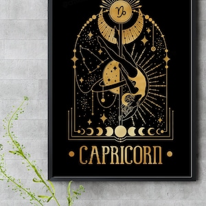 Pole Dance CAPRICORN Zodiac  Print - Aerial Yoga Silks Hammock Gift Aerialist Star Sign Poster Illustration