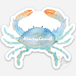 CRABE BLEU DU MARYLAND : autocollant en vinyle. Art. Vieille baie. Cadeau Maryland. Souvenir du Maryland. image 2