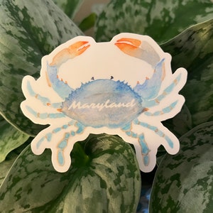 CRABE BLEU DU MARYLAND : autocollant en vinyle. Art. Vieille baie. Cadeau Maryland. Souvenir du Maryland. image 3