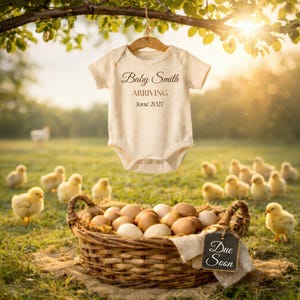 May include: A cream-colored baby onesie with the text "Baby Smith ARRIVING June 2027" hangs from a wooden hanger. A wicker basket filled with eggs sits in a grassy field, surrounded by baby chicks. A sign reads "Due Soon."