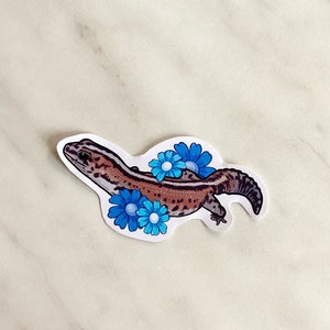 Adhesivo brillante Gecko de cola gorda africana
