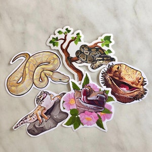 Reptile Glossy Sticker Pack