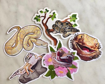 Reptile Glossy Sticker Pack