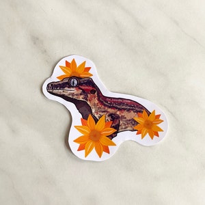 Gargoyle gecko glossy sticker