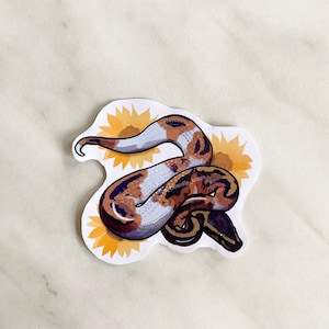 Pied ball python glossy sticker