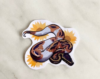 Pied ball python glossy sticker