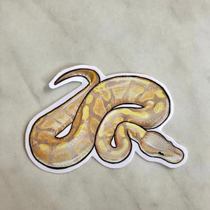 Adesivo brilhante de Python bola Banana Morph