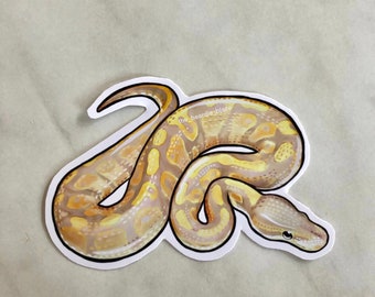 Adesivo lucido Ball Python Banana Morph