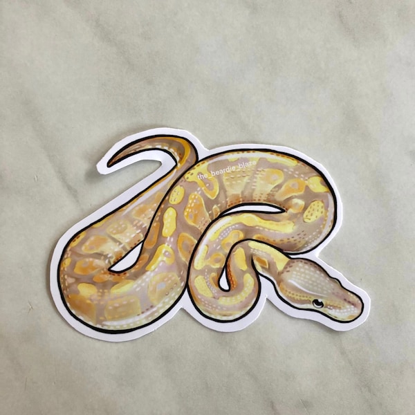 Ball Python Banana Morph glossy sticker