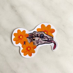 Gargoyle gecko glossy sticker