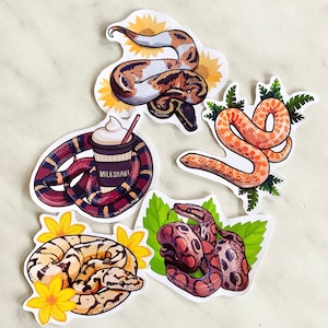 Schlange Glossy Sticker Pack