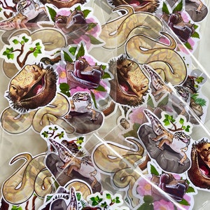 Reptile Glossy Sticker Pack | Etsy