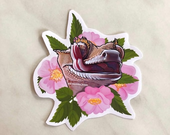 Könnte beinhalten: Ein Aufkleber mit einer Cartoon-Illustration eines Bartagamen mit herausgestreckter Zunge, umgeben von rosa Blüten und grünen Blättern. Der Text "the_beardie_blaze" ist am unteren Rand des Aufklebers sichtbar.