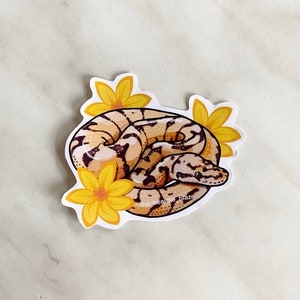 May include: A sticker featuring a curled up snake with a yellow and black pattern, surrounded by yellow flowers. The text "the_beardieblaze" is at the bottom of the sticker.