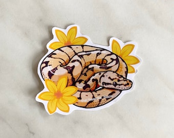Bumblebee Desert Ball Python glossy sticker
