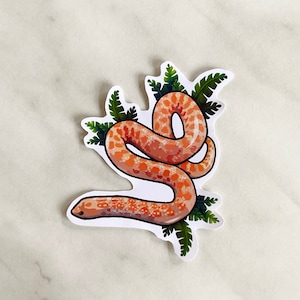 Adesivo brilhante de cobra Hognose