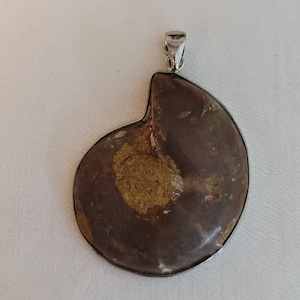 Natural Ammonite Seashell Fossil Half Polished Pendant Necklace