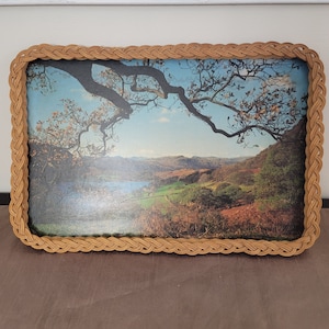 Vintage Serving Tray Wicker Landscape Wall Art Hanging Tray 18 in