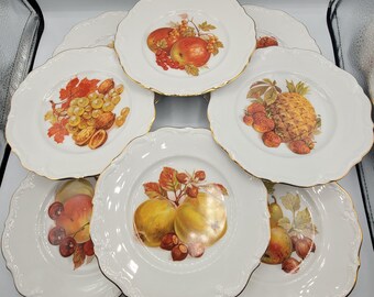 Vintage Winterling West Germany Teller Obst 8 Stück