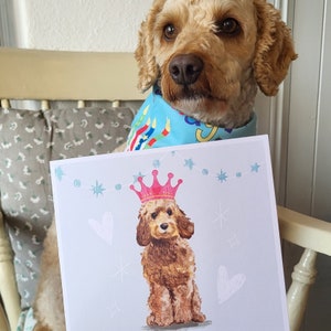 Carte d'anniversaire Cockapoo comme Gaeilge, carte d'anniversaire Cockapoo irlandais, Lá Breithe Shona Duit