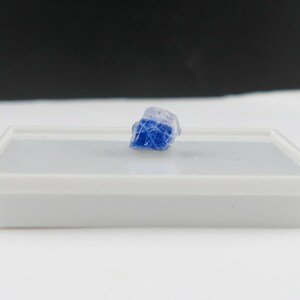 May include: A small, raw, translucent blue crystal fragment with a jagged, irregular shape. The crystal exhibits a deep cobalt blue hue at its base, transitioning to a clear, colorless, and icy appearance at the top, resting on a white display tray.